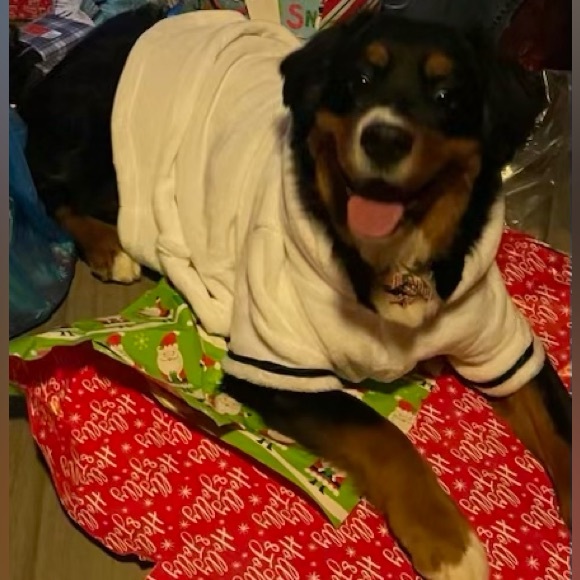 Like & Share to be notified when I go LIVE! I do various types of shows! - Picture 4 of 11